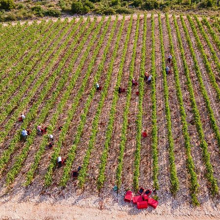 Winery Rizman B&B Slivno Ravno Zewnętrze zdjęcie