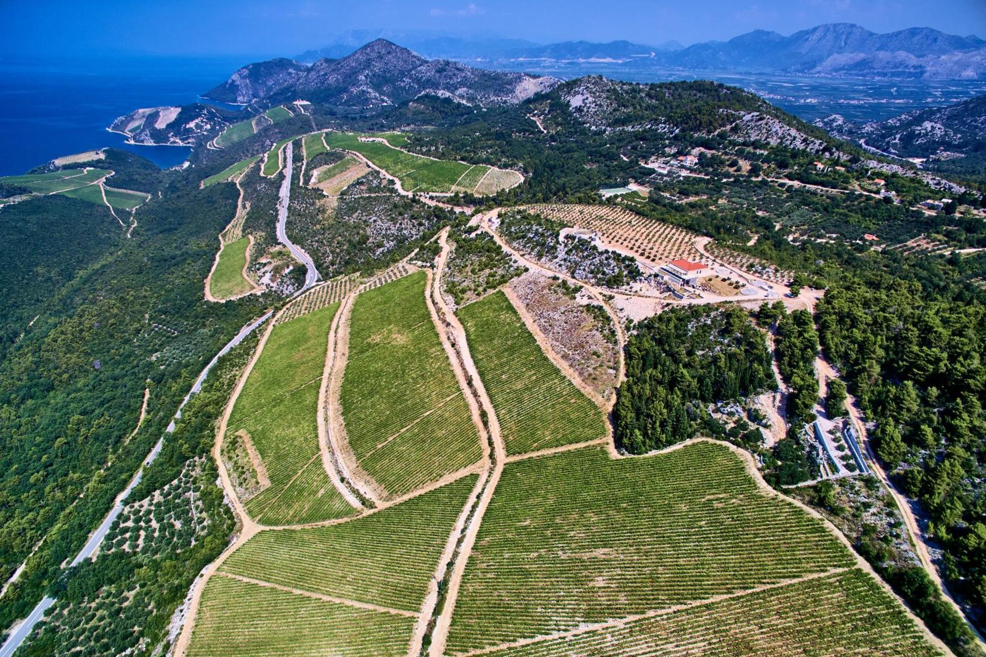 Winery Rizman B&B Slivno Ravno Zewnętrze zdjęcie